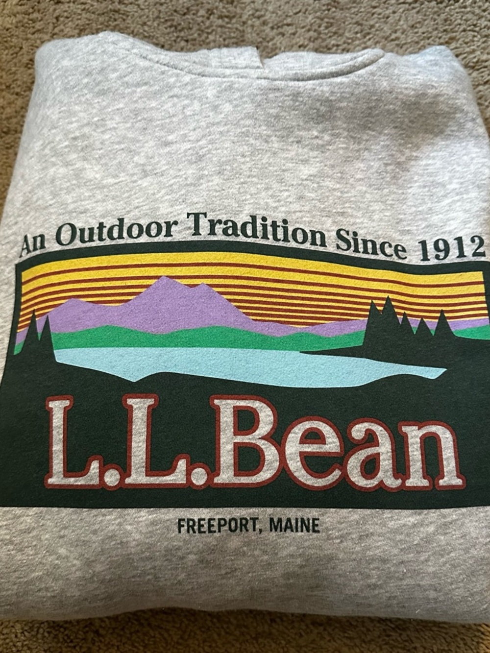 L.L. Bean Men’s Essential Graphic Sweatshirt Hoodie